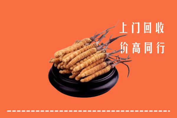 高价求购：扶风县回收散虫草